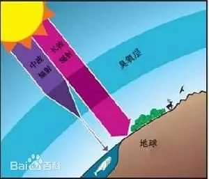 ���P���Pע������Ҋ����Ⱦ | ��ĳ�����ȾС����Ո����